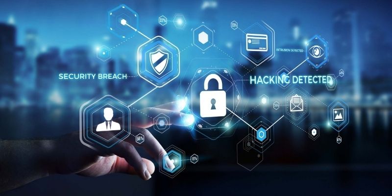 Tuquy8 thu thập dữ liệu như thế nào?