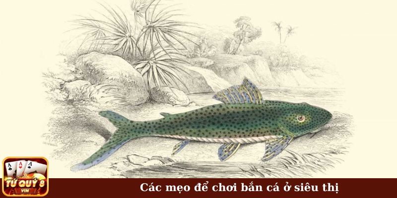 Các mẹo để chơi bắn cá ở siêu thị