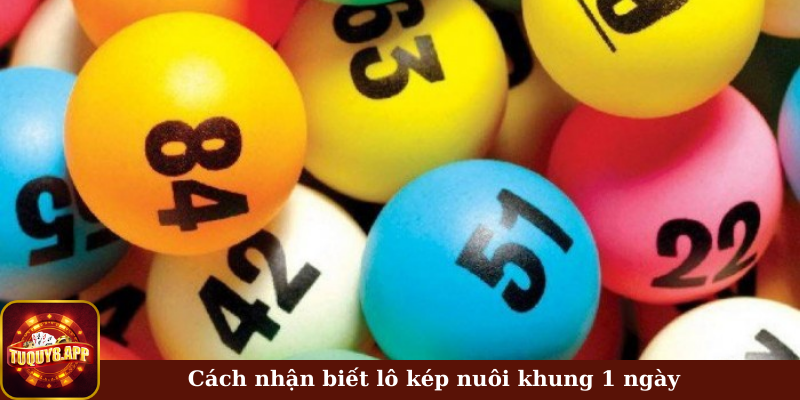 Cách nhận biết lô kép nuôi khung 1 ngày