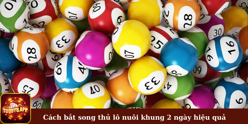 Hướng dẫn cách bắt song thủ lô nuôi khung 2 ngày hiệu quả