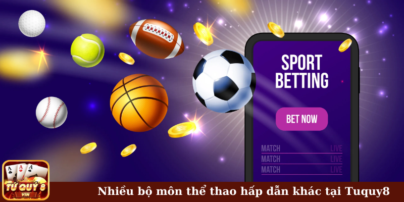 Nhiều bộ môn thể thao hấp dẫn khác tại Tuquy8