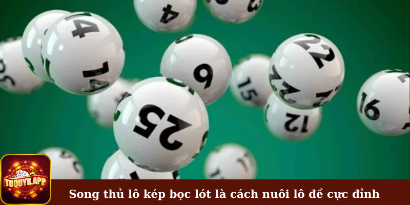 Song thủ lô kép bọc lót là cách nuôi lô đề cực đỉnh