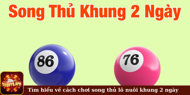 Tìm hiểu về cách chơi song thủ lô nuôi khung 2 ngày 