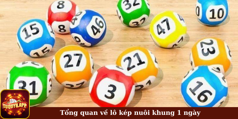 Tổng quan về lô kép nuôi khung 1 ngày