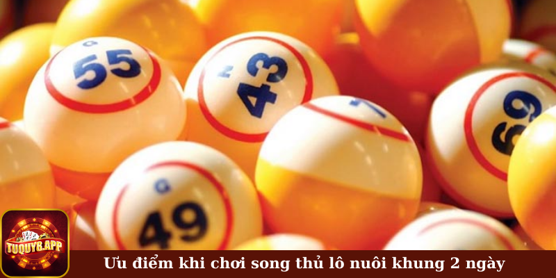 Ưu điểm khi chơi song thủ lô nuôi khung 2 ngày