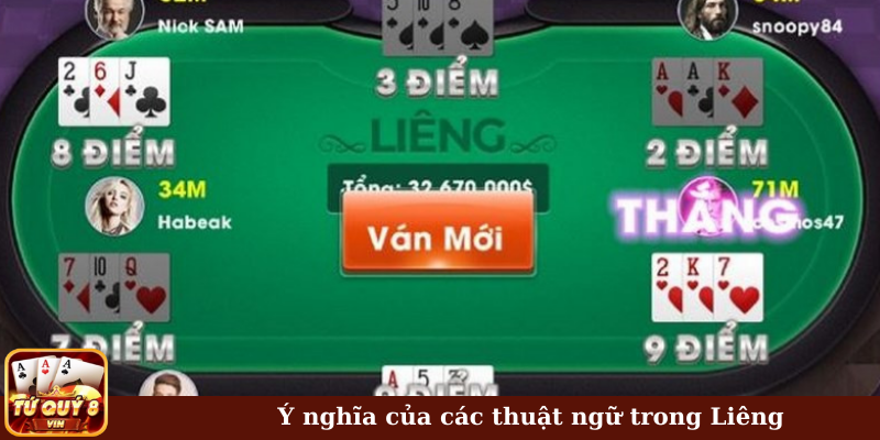 Ý nghĩa của các thuật ngữ trong Liêng